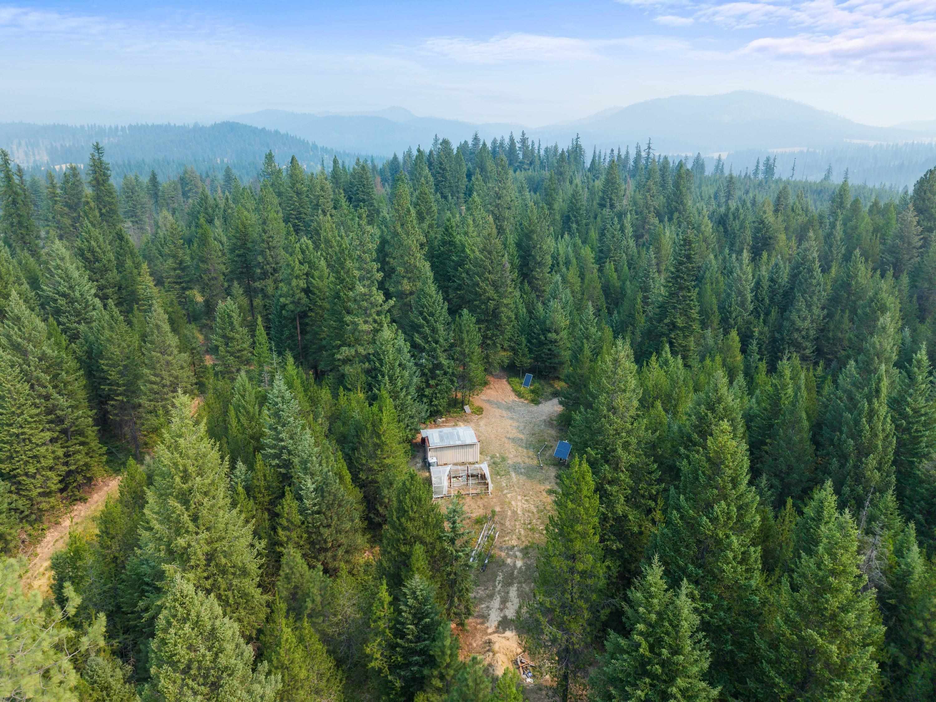 5162 Goah Way - Photo 6
