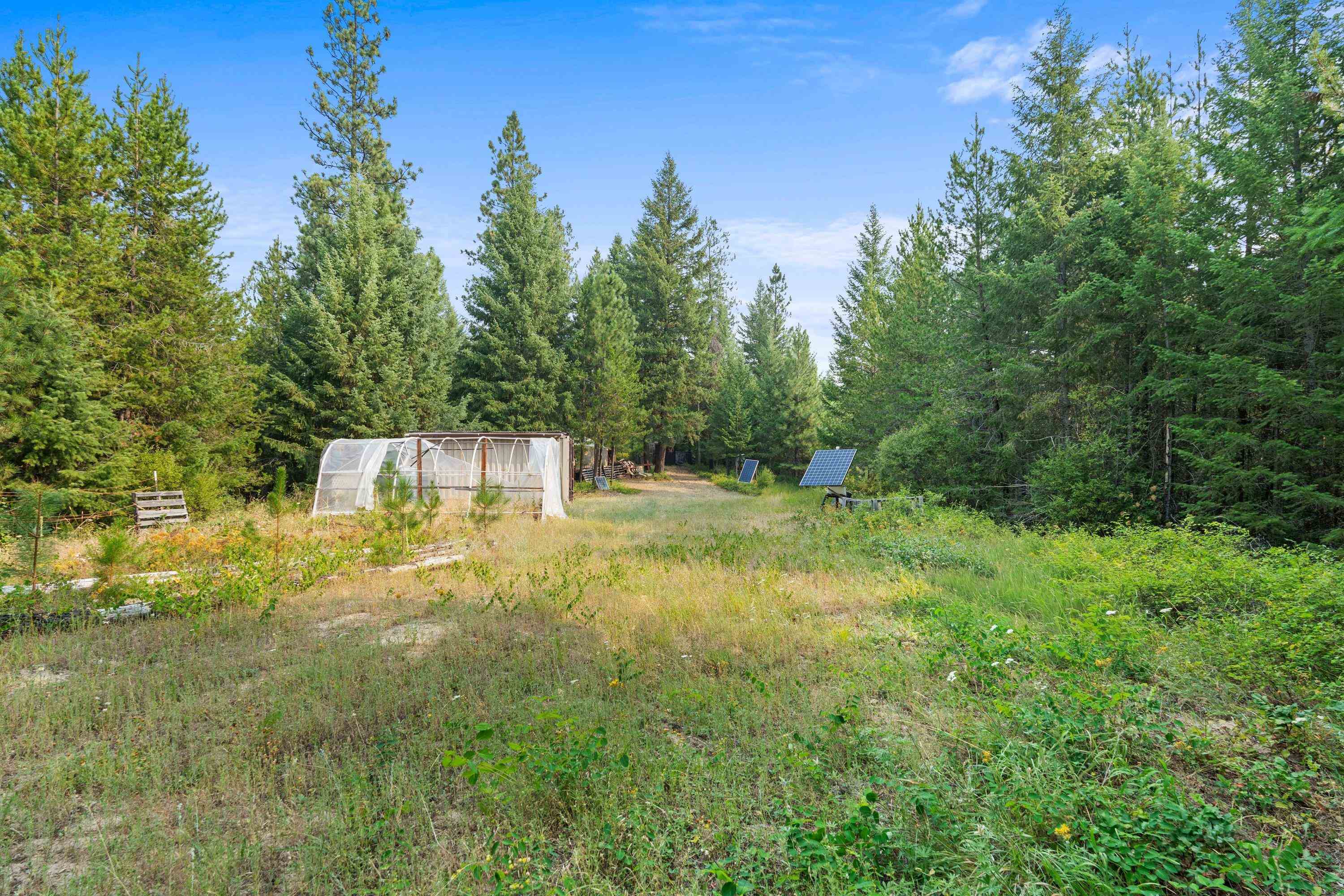 5162 Goah Way - Photo 12