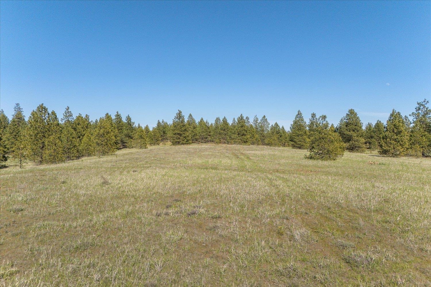 00XXX Rambo Rd, Lot 7 - Photo 16