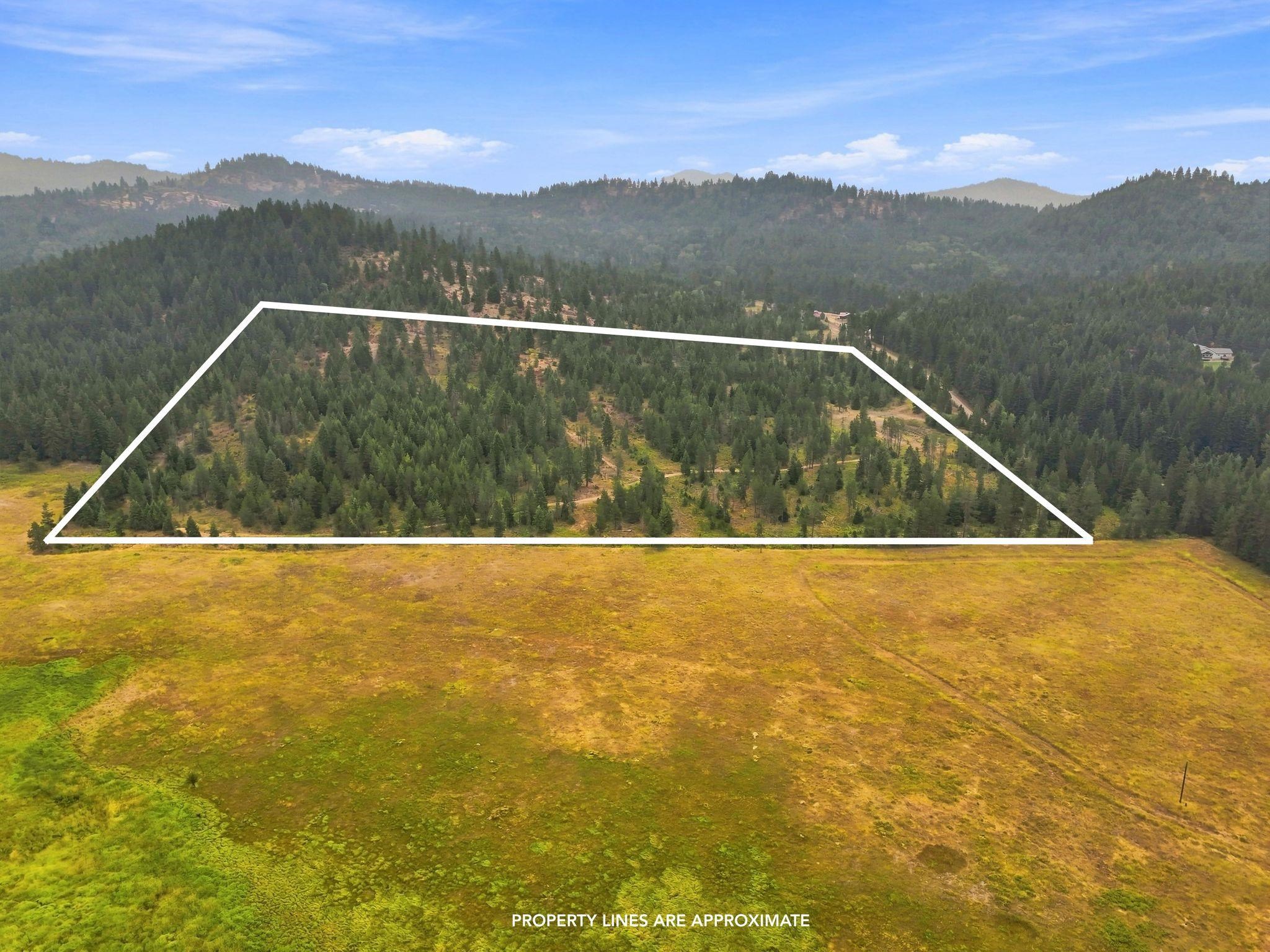 1301 Roberts Rd - Photo 4