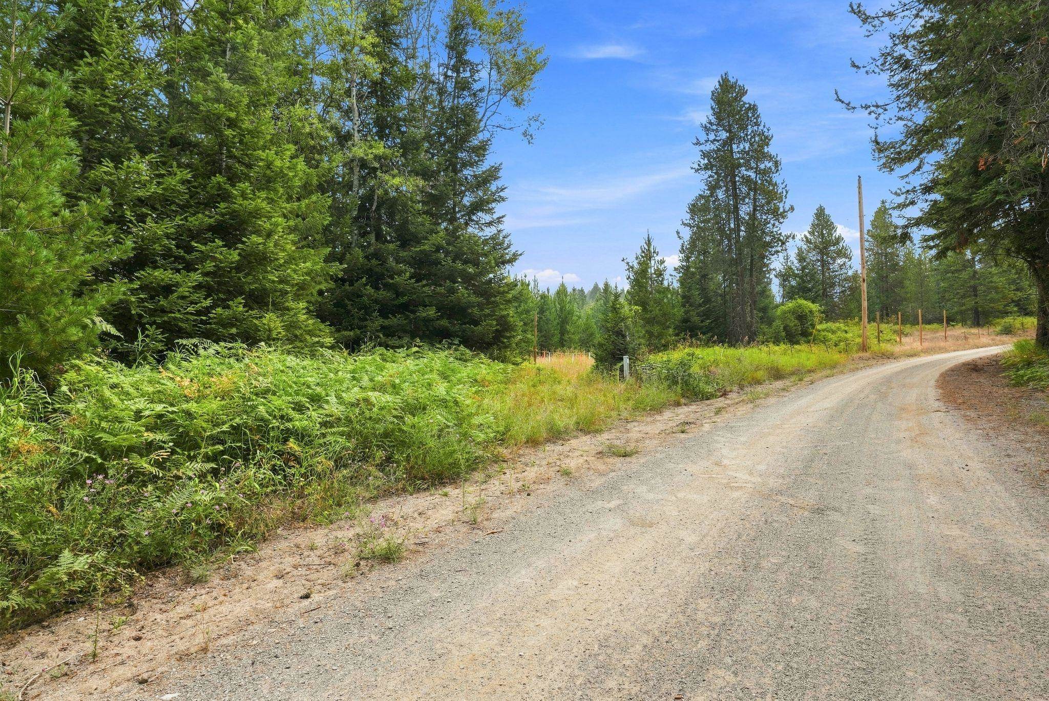 1301 Roberts Rd - Photo 6