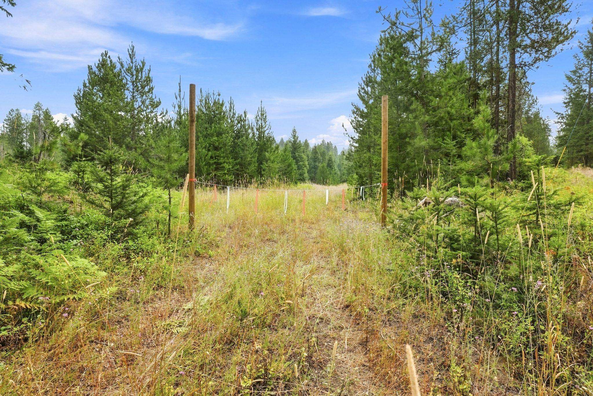 1301 Roberts Rd - Photo 7