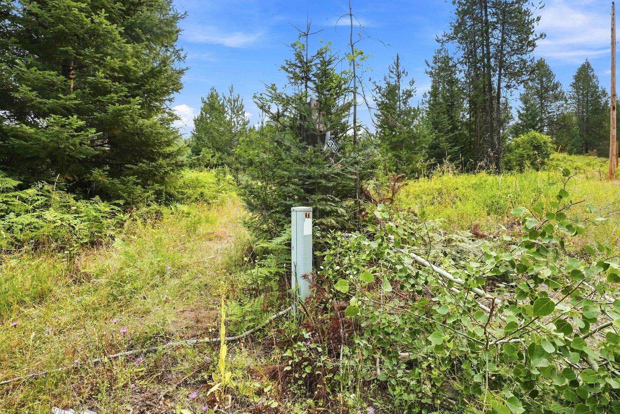 1301 Roberts Rd - Photo 8