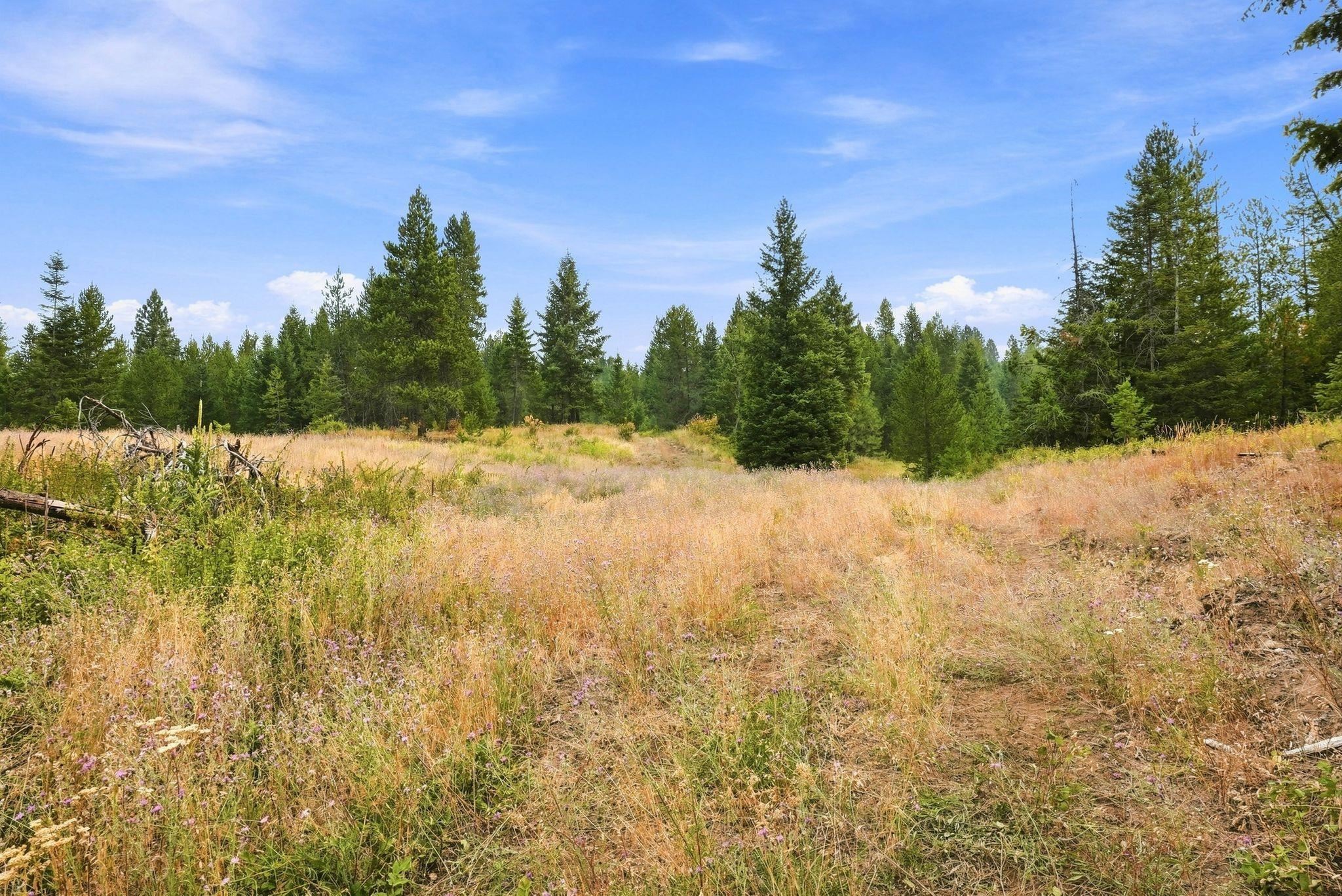 1301 Roberts Rd - Photo 10