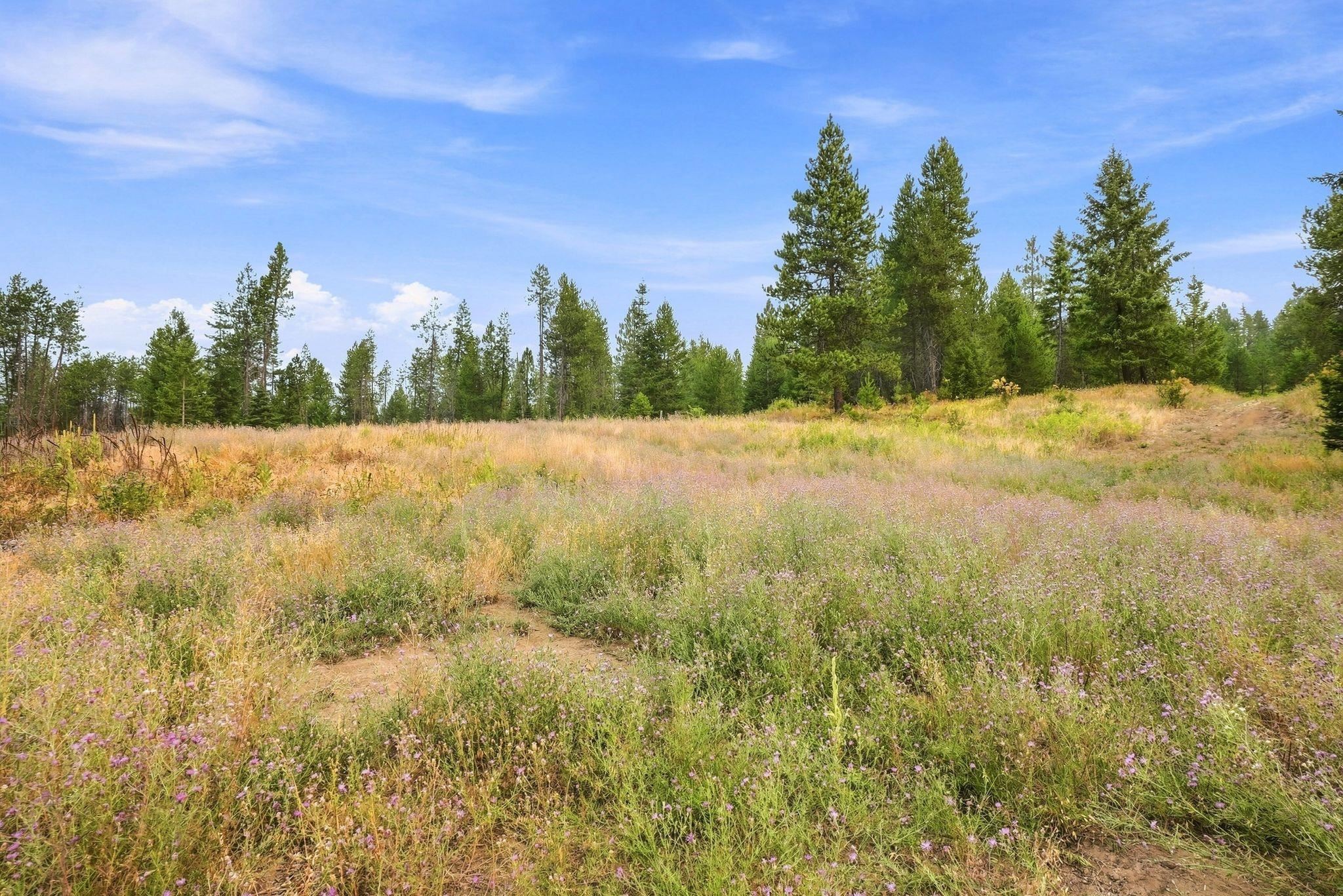 1301 Roberts Rd - Photo 11