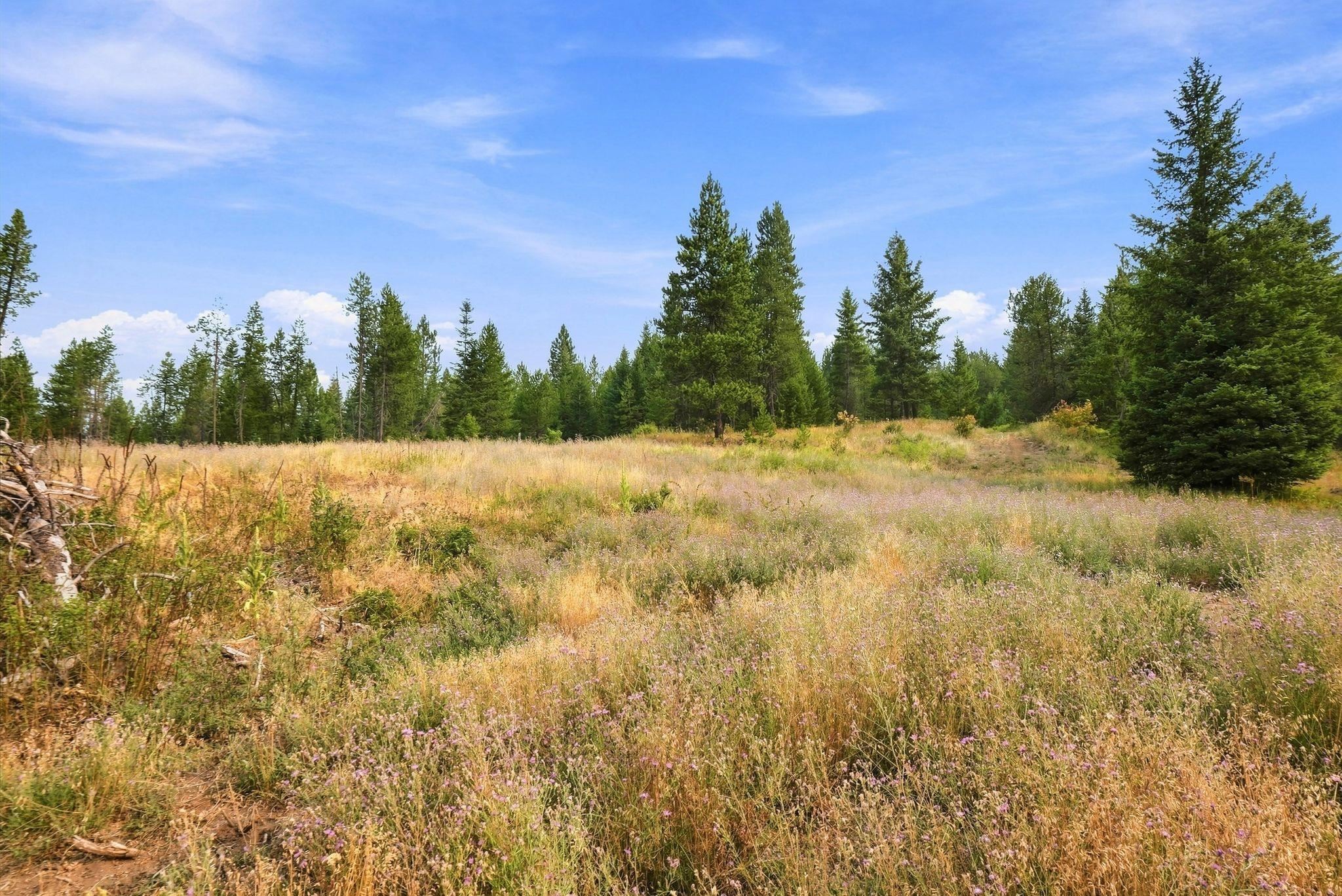 1301 Roberts Rd - Photo 12