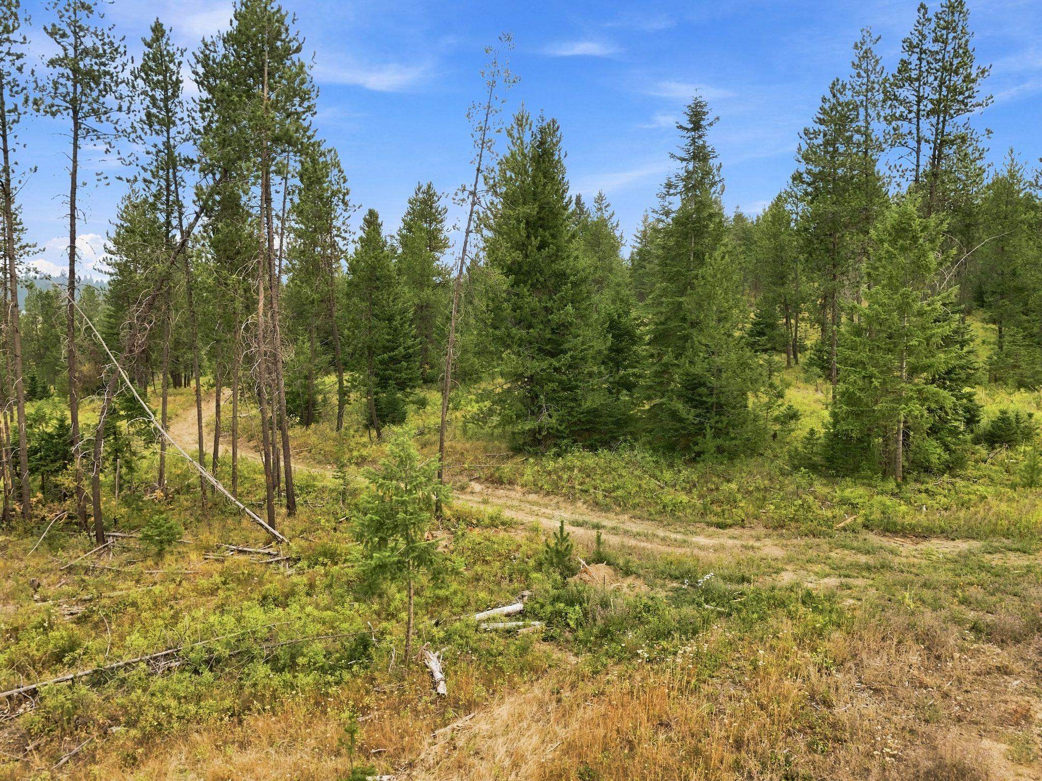 1301 Roberts Rd - Photo 14