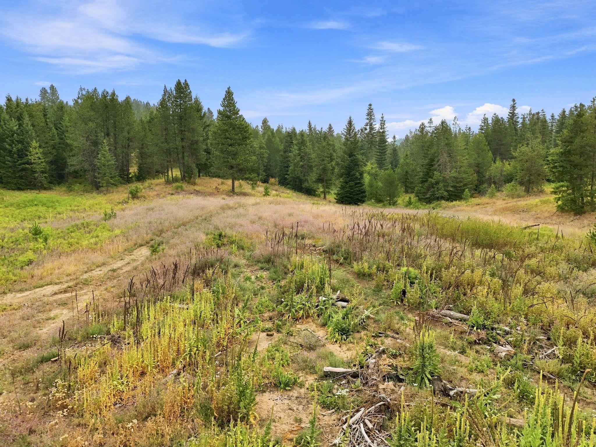 1301 Roberts Rd - Photo 15