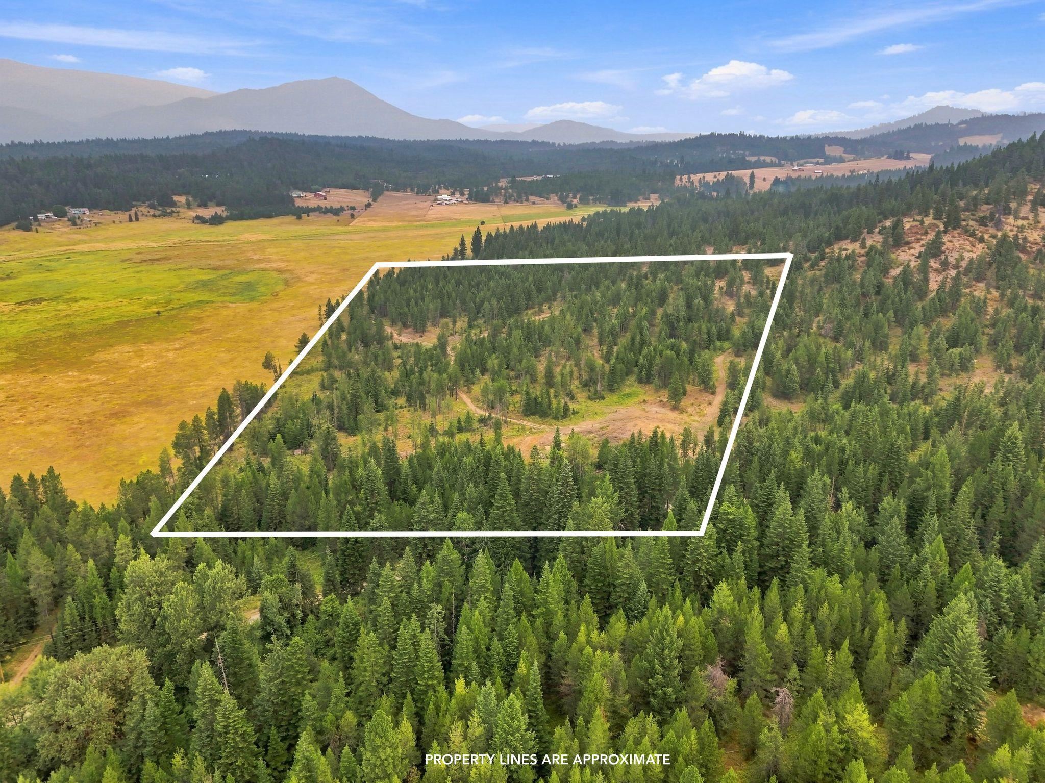 1301 Roberts Rd - Photo 1