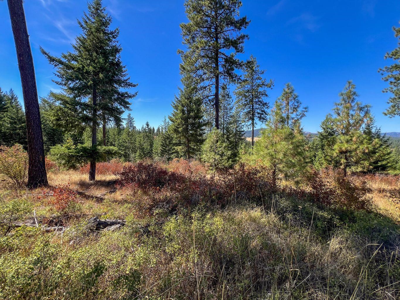 52XX Lot 7 Swenson Rd - Photo 1
