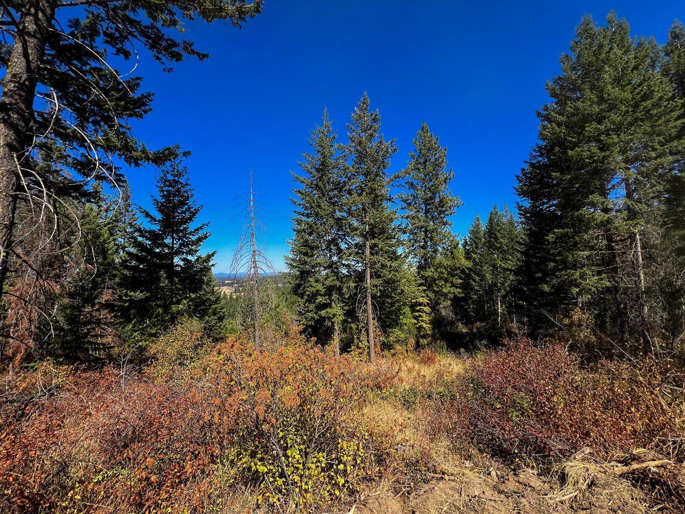 52XX Lot 7 Swenson Rd - Photo 5