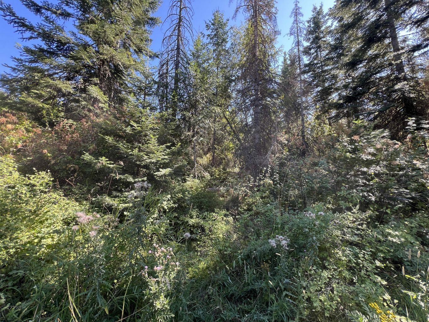 52XX Lot 7 Swenson Rd - Photo 6