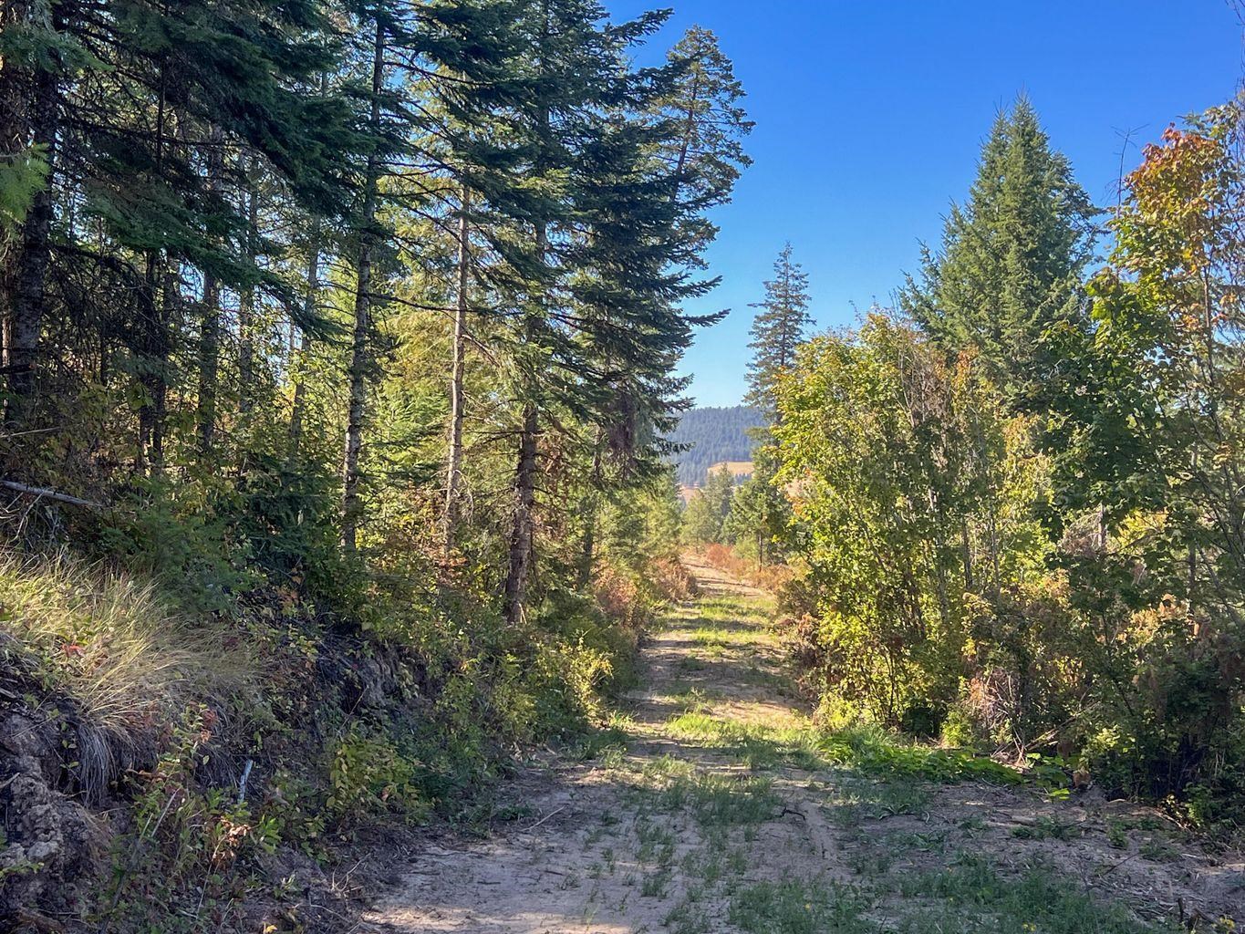 52XX Lot 7 Swenson Rd - Photo 8