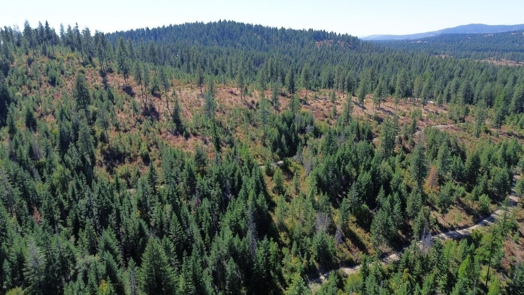 52XX Lot 7 Swenson Rd - Photo 9