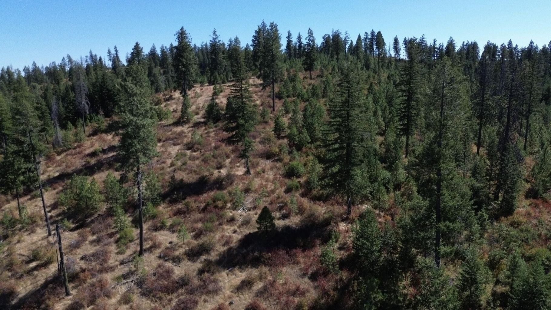 52XX Lot 7 Swenson Rd - Photo 12