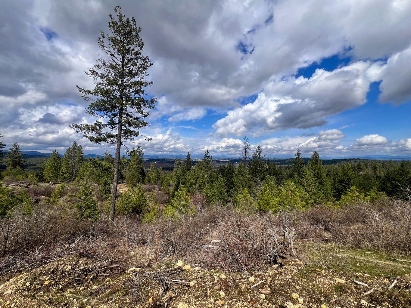 52XX Lot 8 Swenson Rd - Photo 1