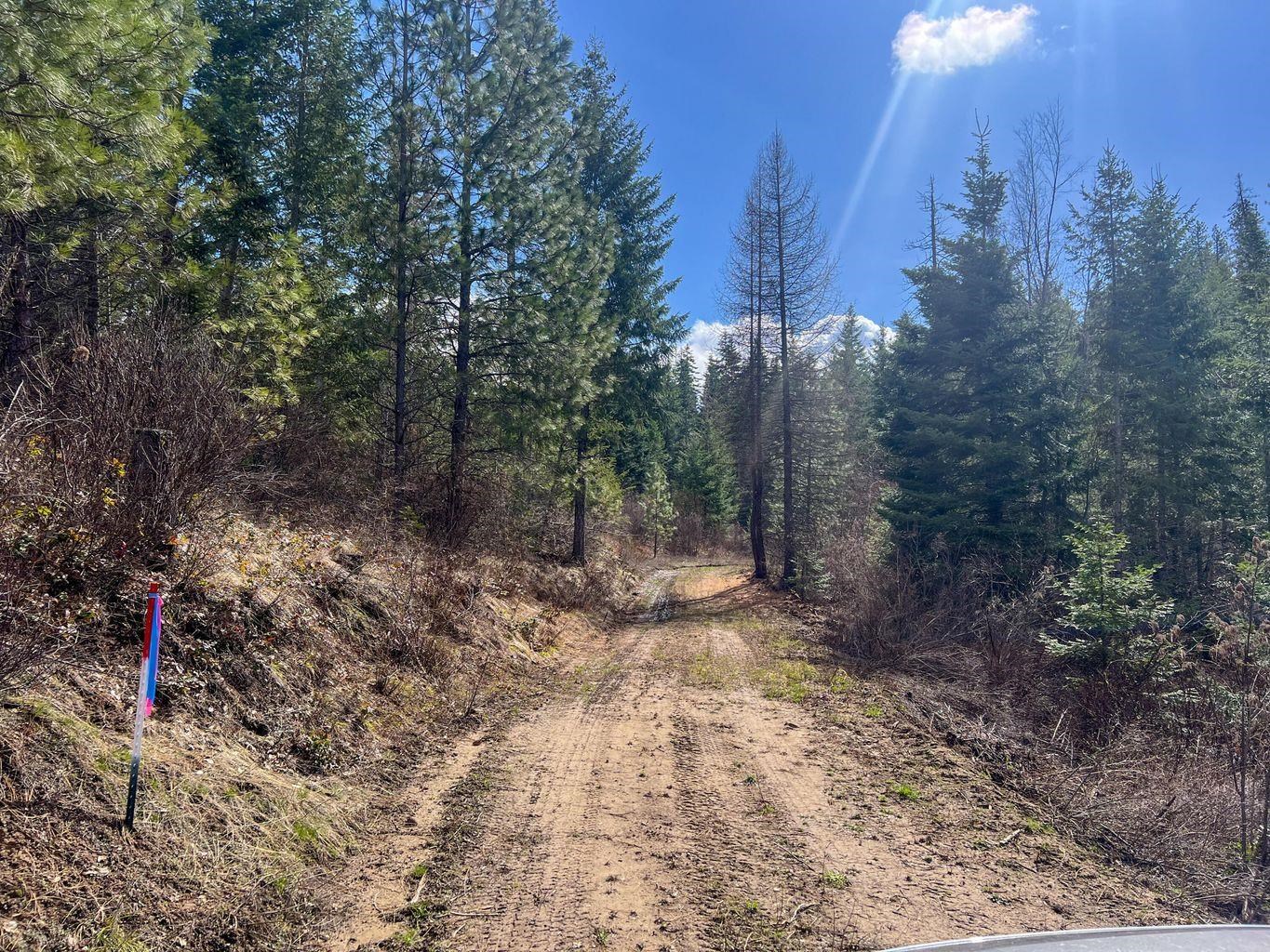52XX Lot 8 Swenson Rd - Photo 3
