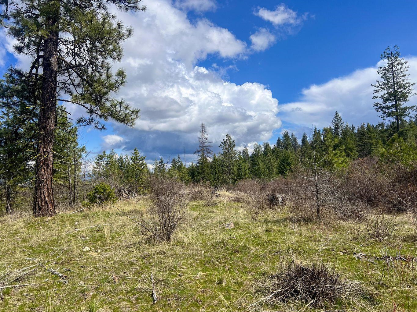 52XX Lot 8 Swenson Rd - Photo 4