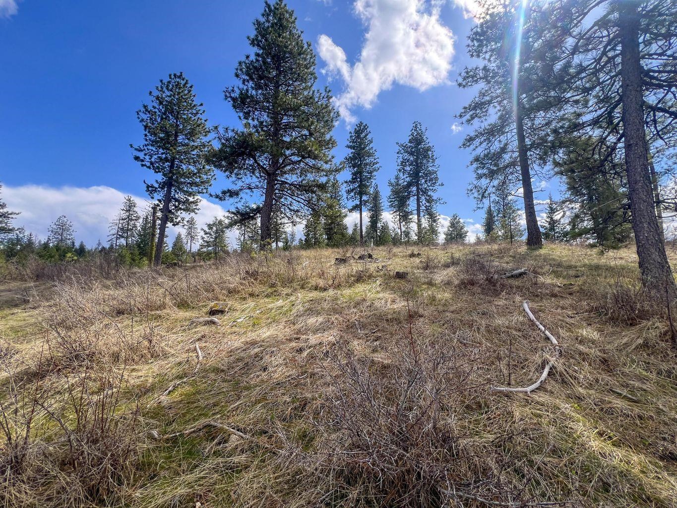 52XX Lot 8 Swenson Rd - Photo 5