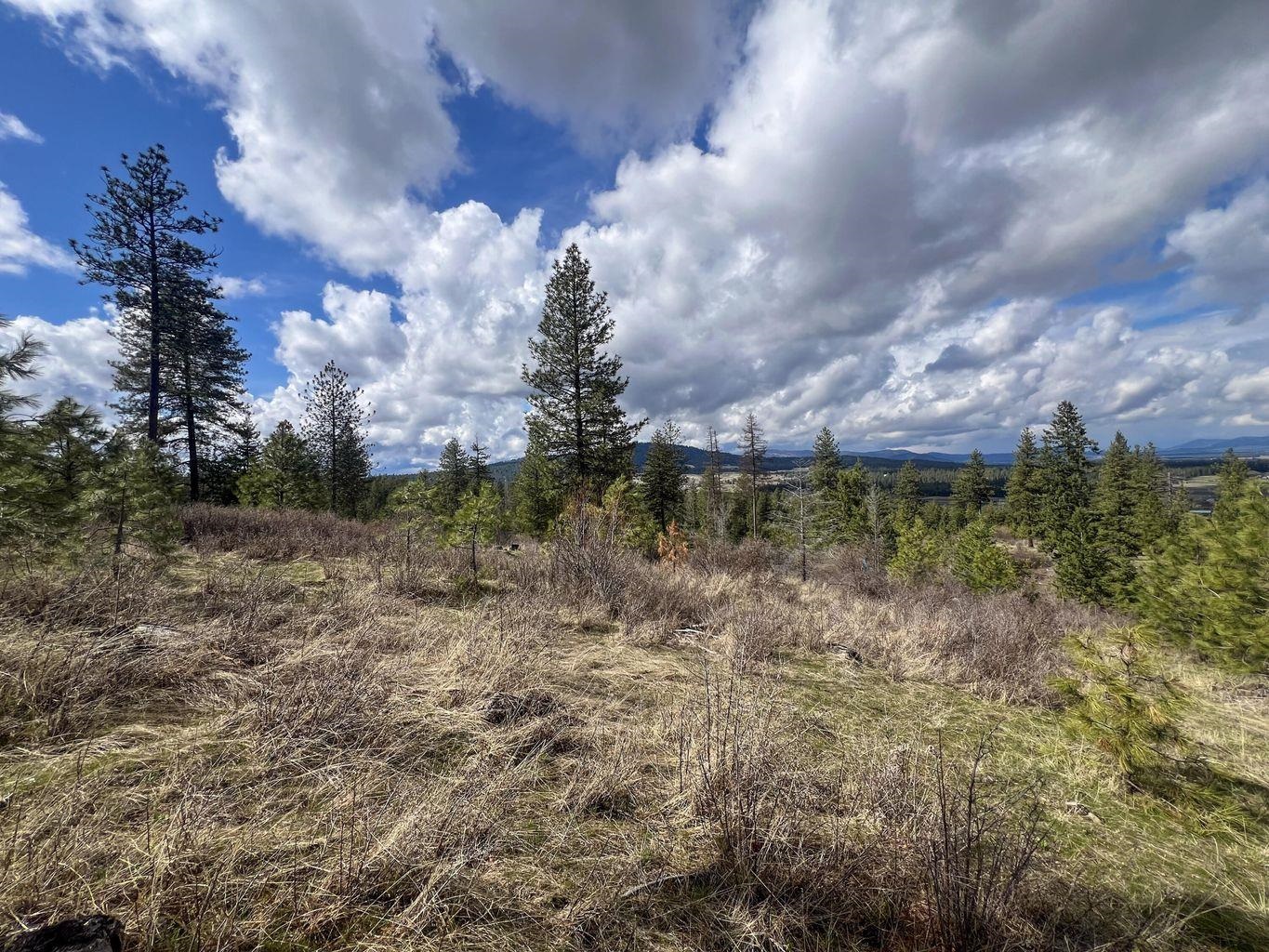 52XX Lot 8 Swenson Rd - Photo 6