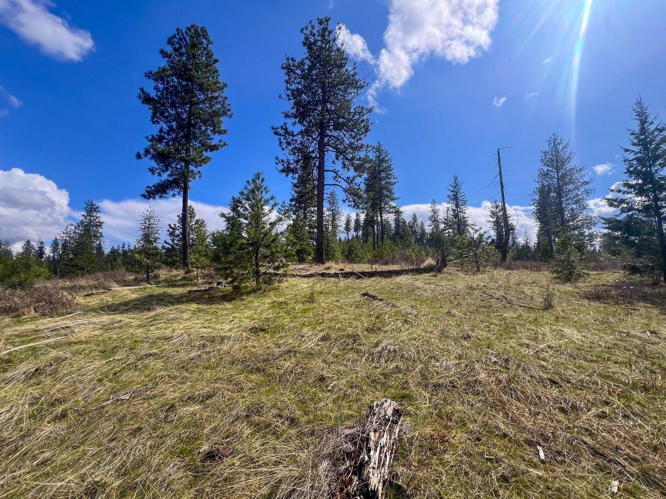 52XX Lot 8 Swenson Rd - Photo 7
