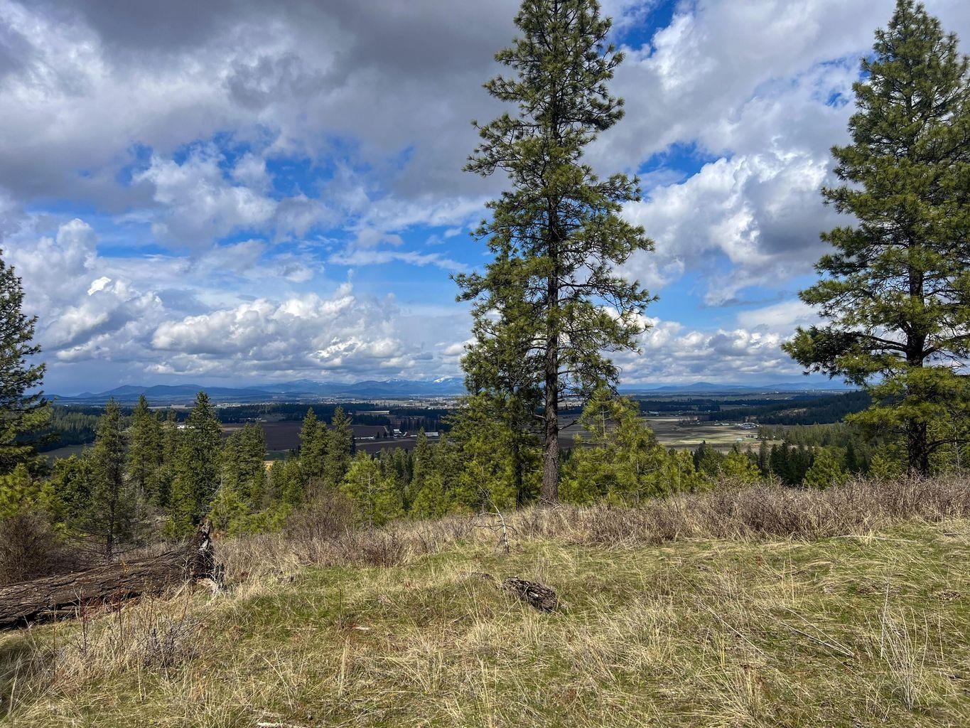 52XX Lot 8 Swenson Rd - Photo 8
