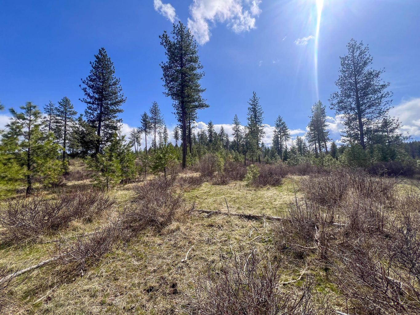 52XX Lot 8 Swenson Rd - Photo 9