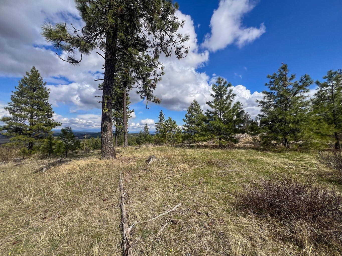 52XX Lot 8 Swenson Rd - Photo 10