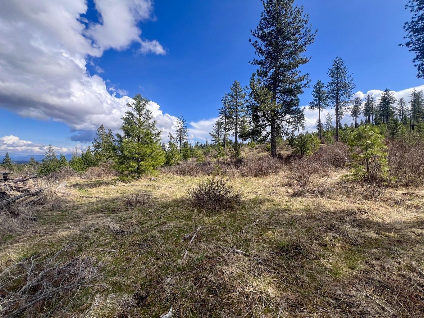 52XX Lot 8 Swenson Rd - Photo 14