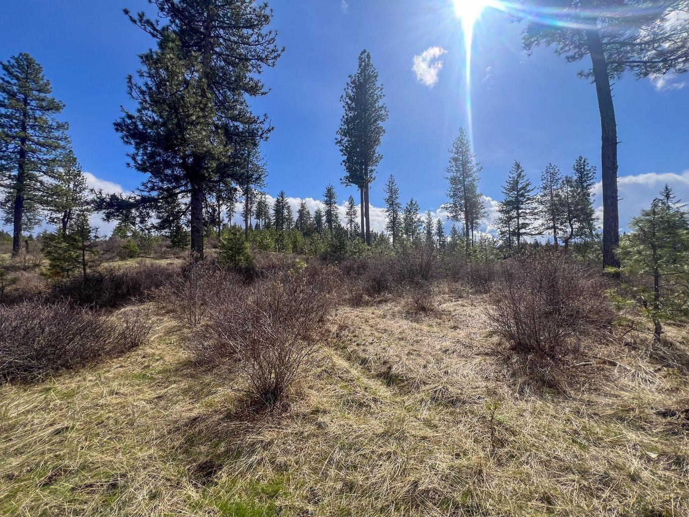 52XX Lot 8 Swenson Rd - Photo 15