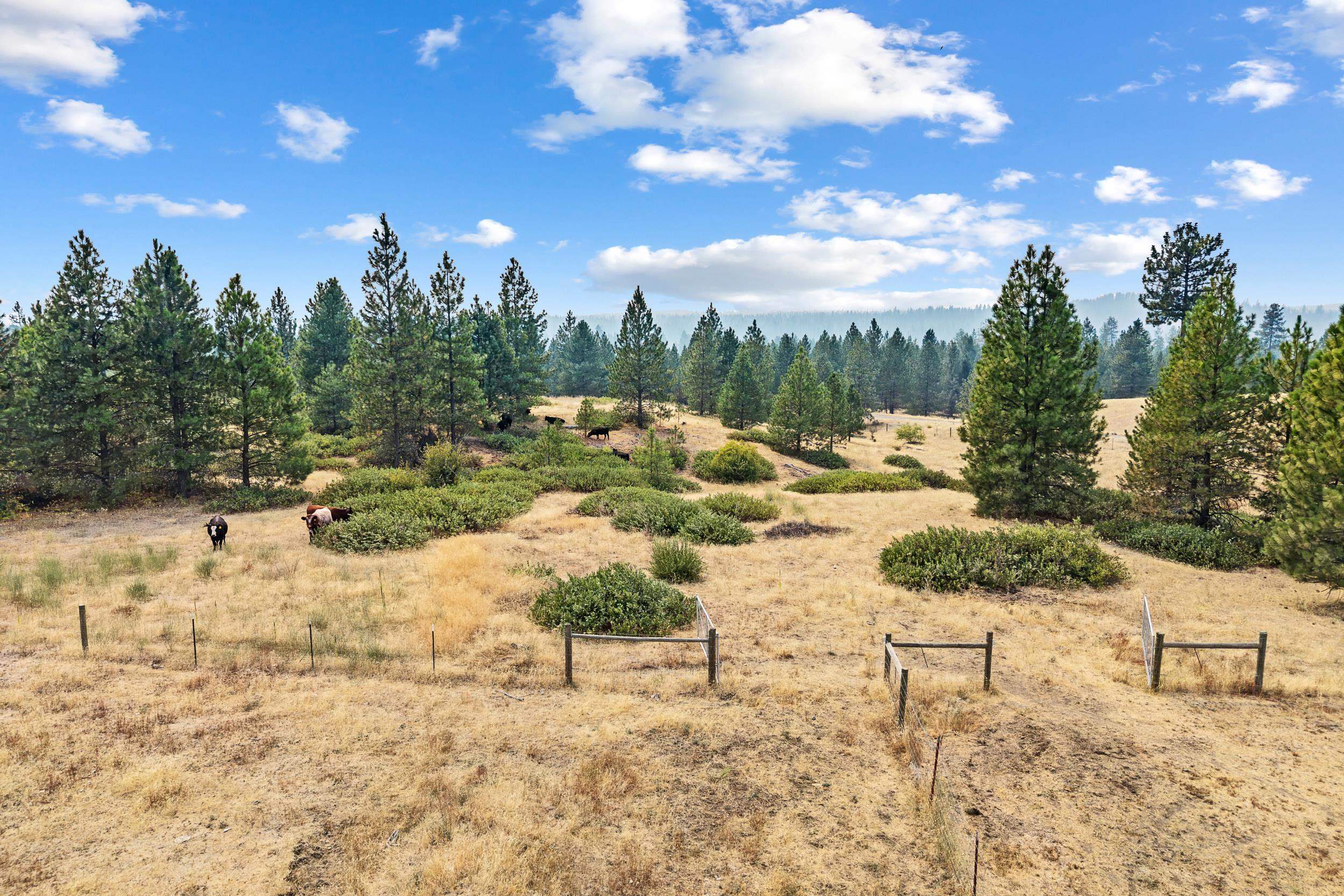 29020 N Hardesty Rd - Photo 48