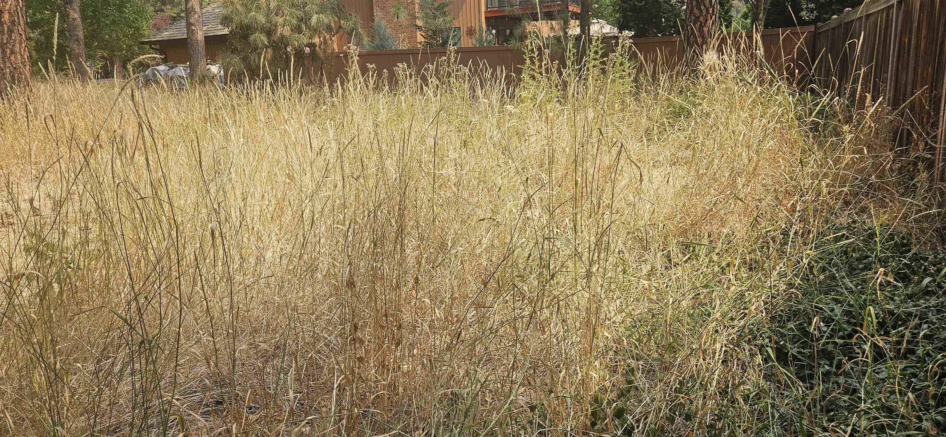 XXXX S Madelia St - Photo 8