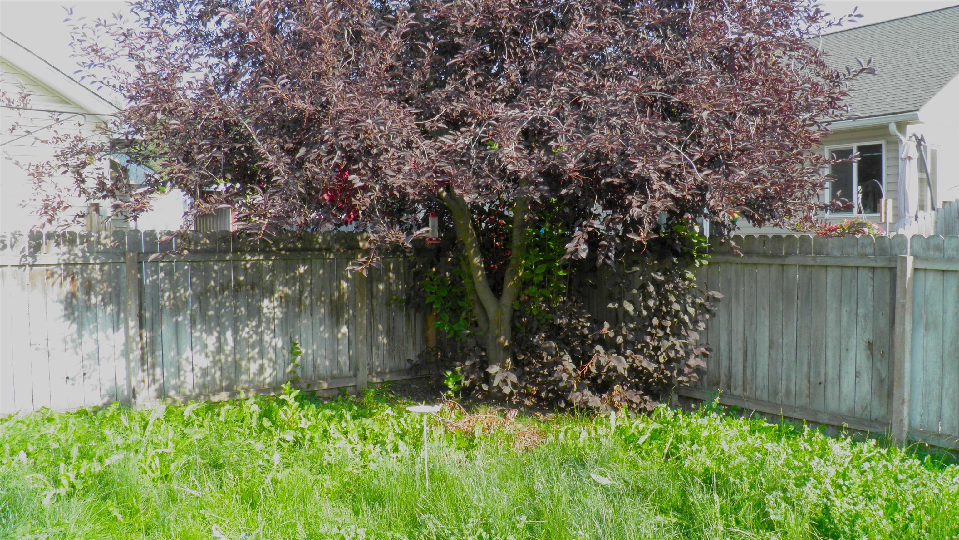 4314 E Vantage Ln - Photo 32