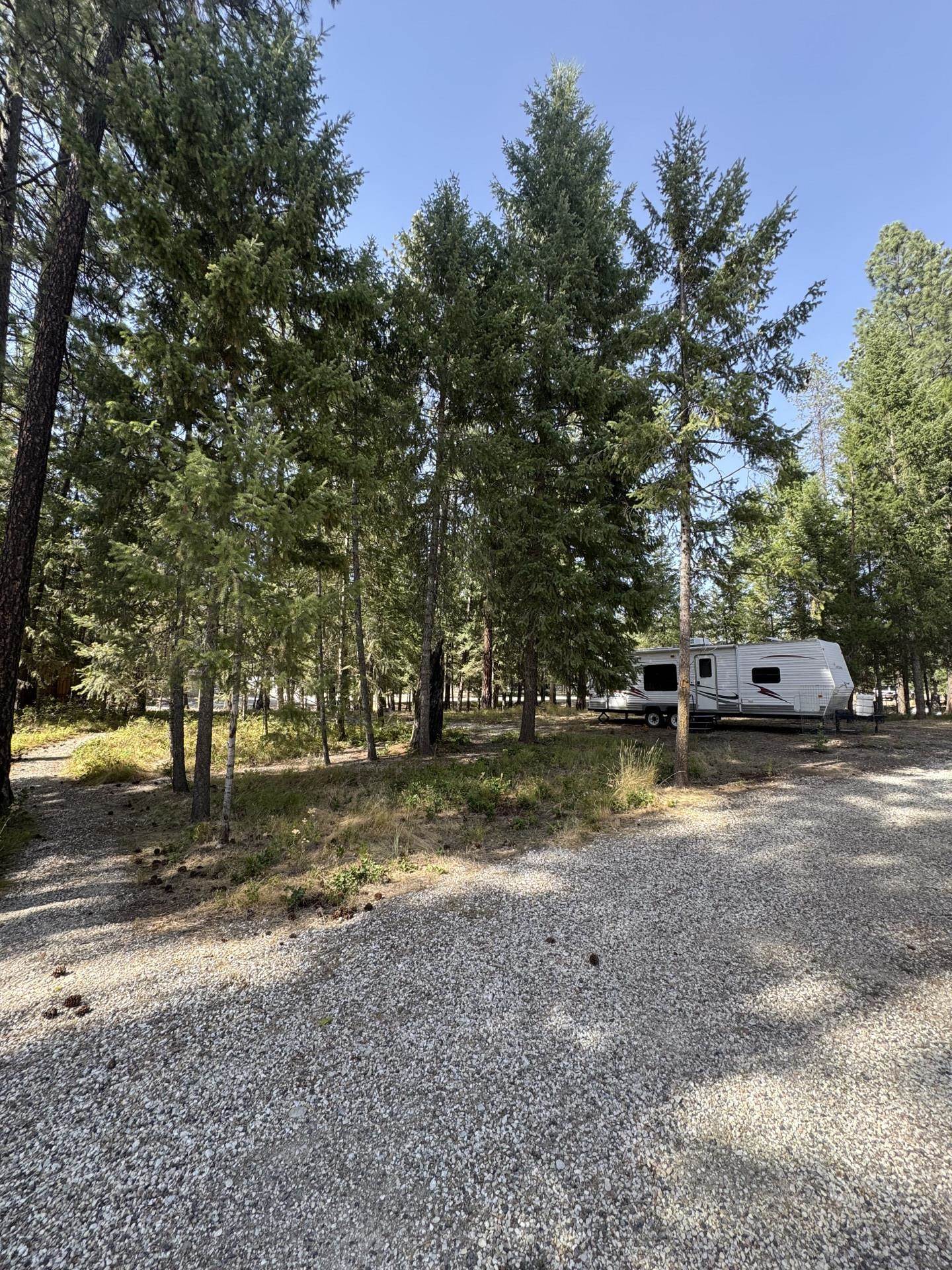 3301 Viewridge Ln - Photo 5