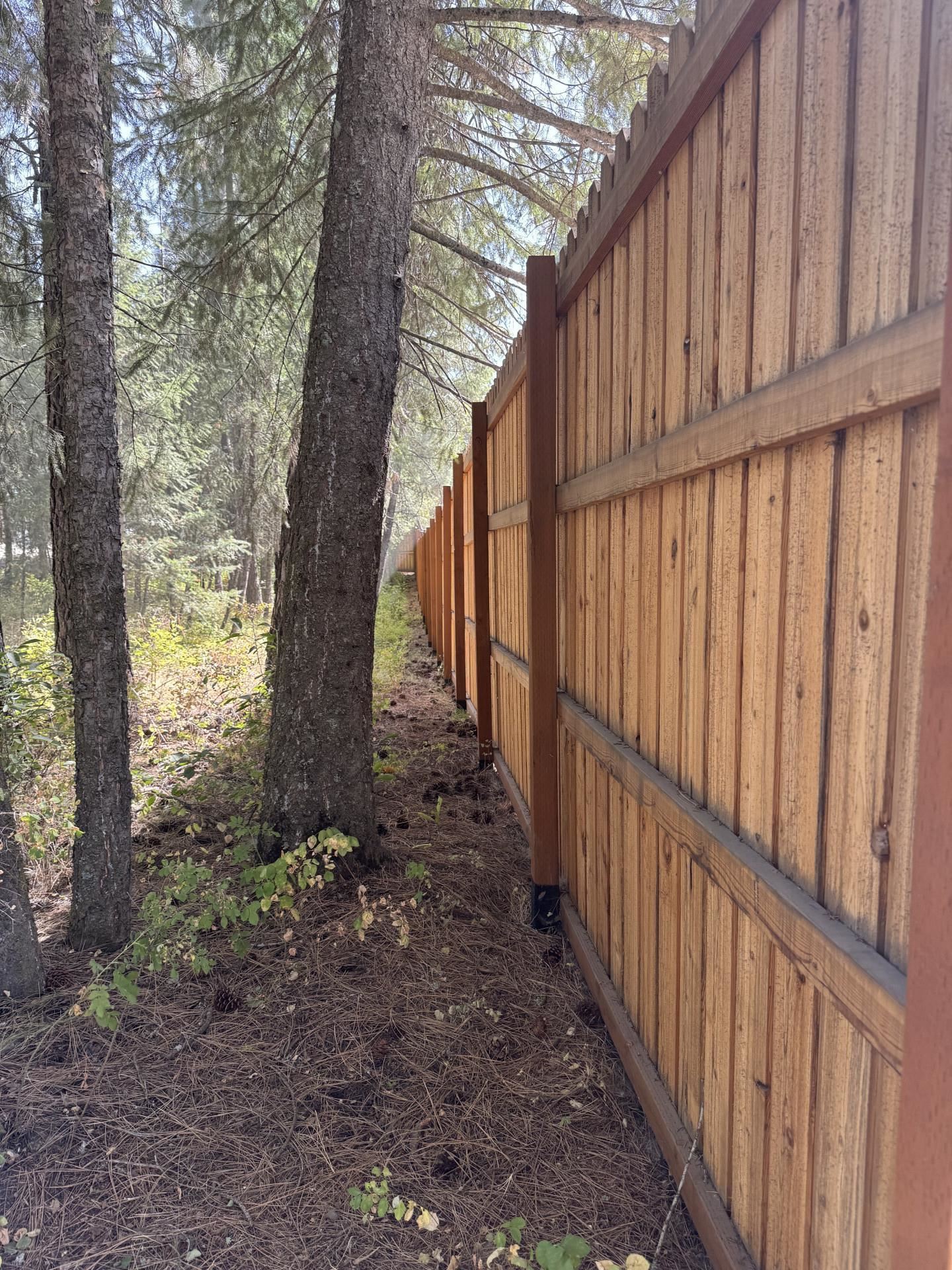 3301 Viewridge Ln - Photo 35