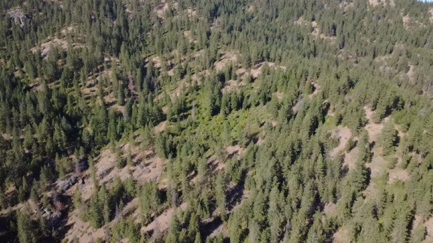 95XX N Campbell Rd - Photo 23