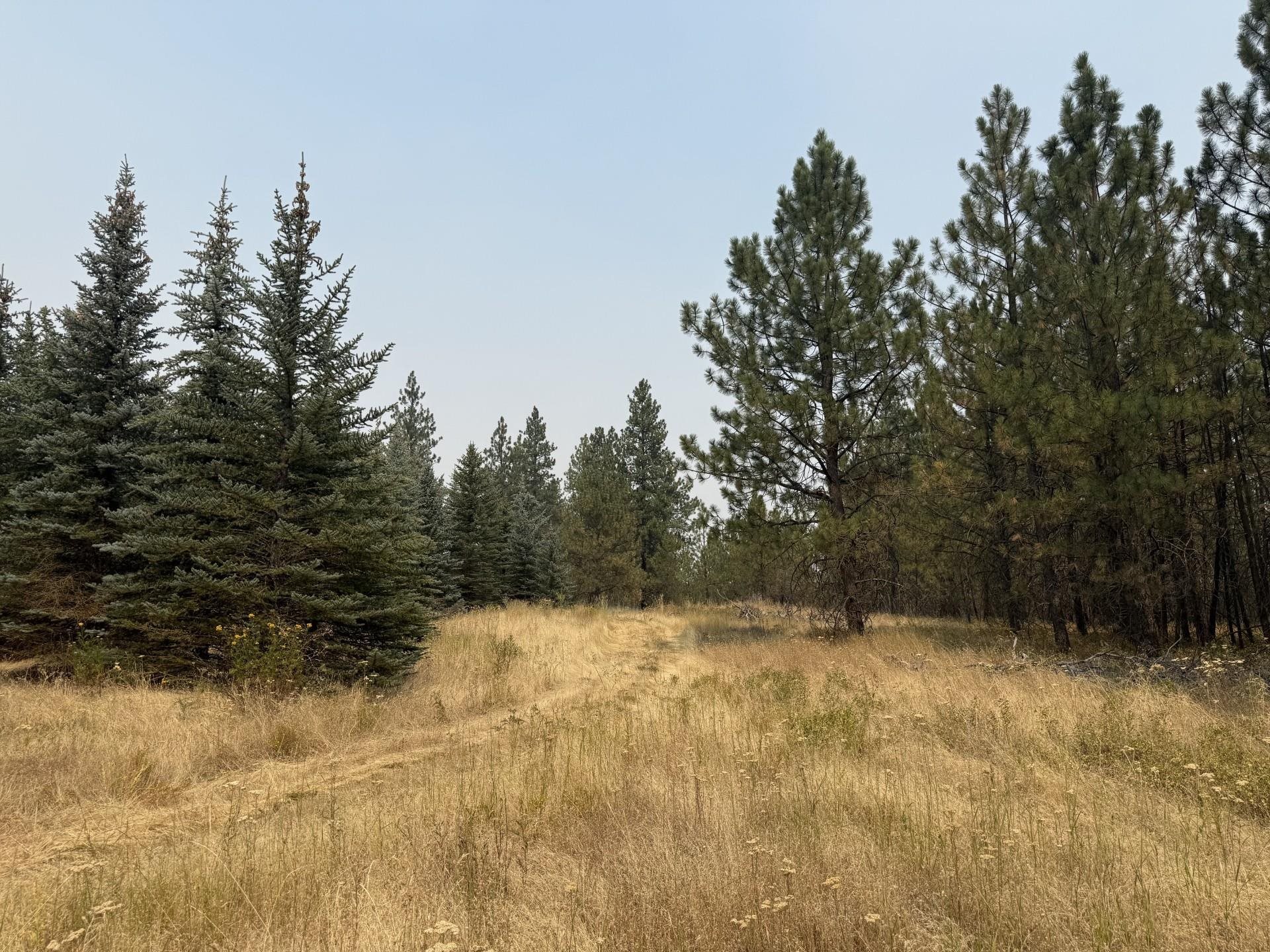 112XX S Spruce Tree Ln - Photo 3