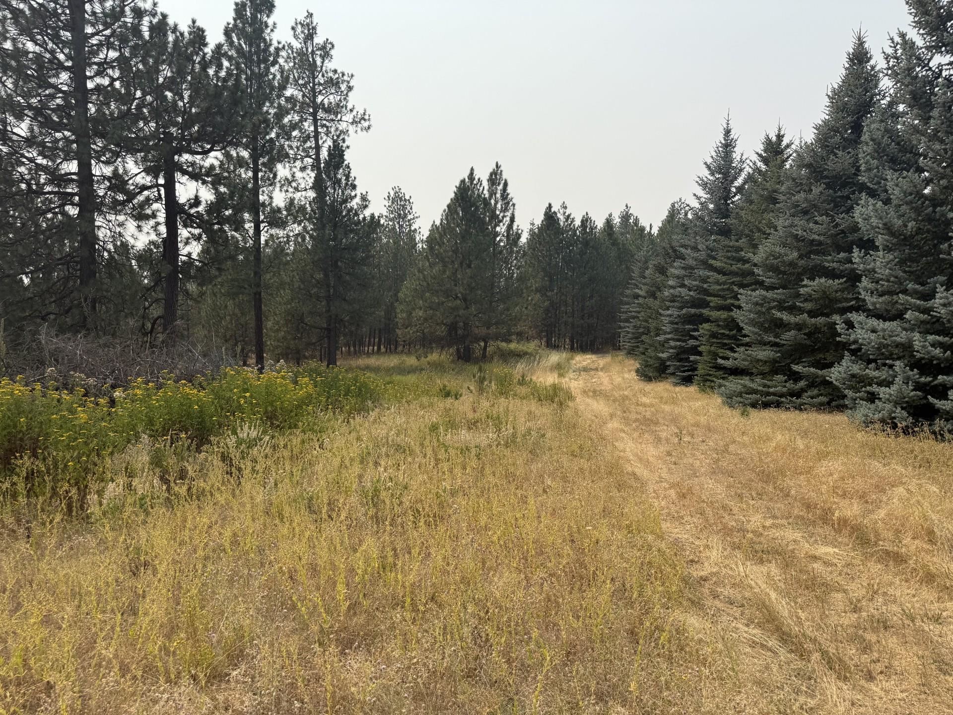 119XX S Spruce Tree Ln - Photo 4