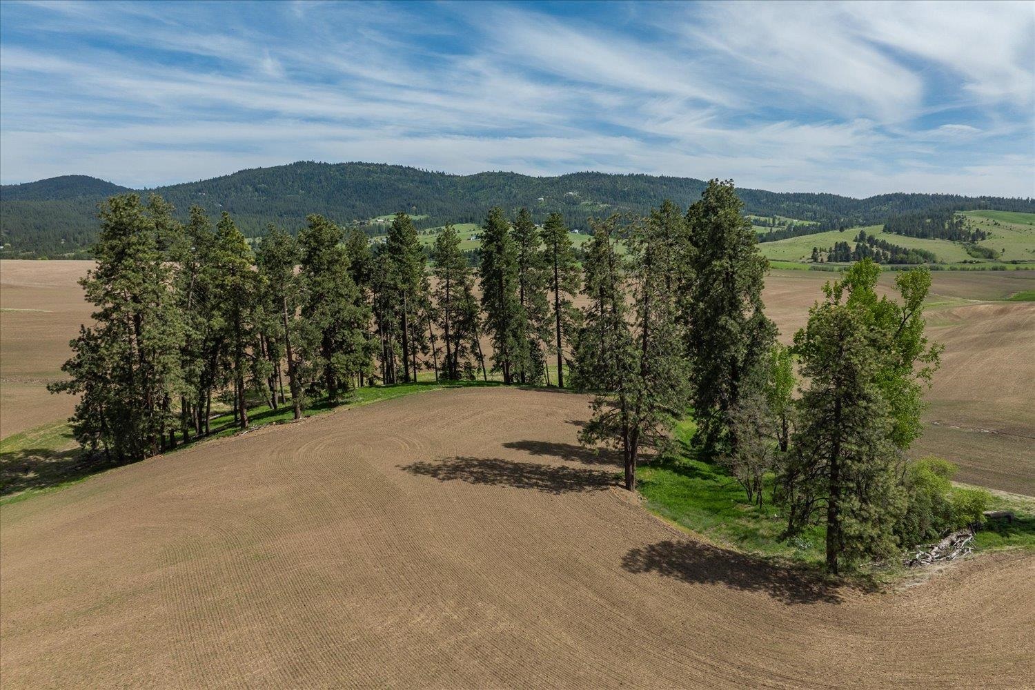 00XXX Jackson Rd, Lot 20 - Photo 15