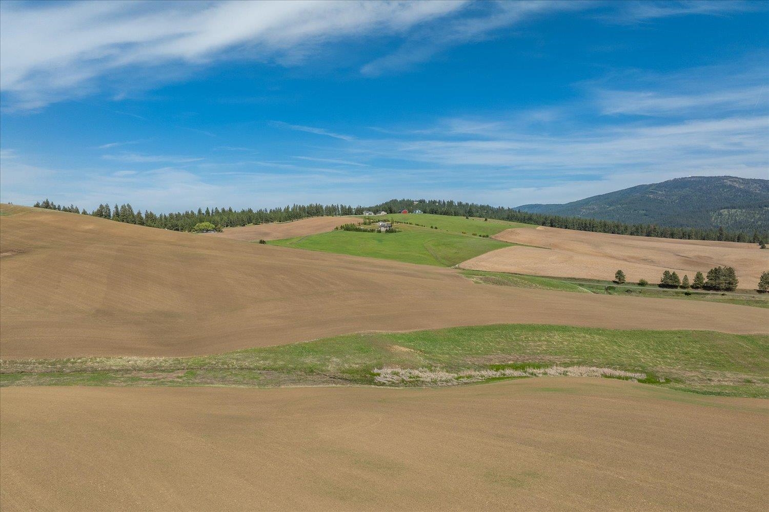 00XXX Jackson Rd, Lot 20 - Photo 22