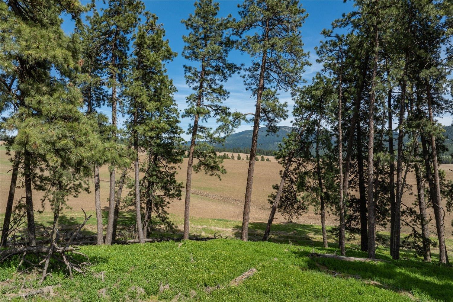 00XXX Jackson Rd, Lot 28 - Photo 17