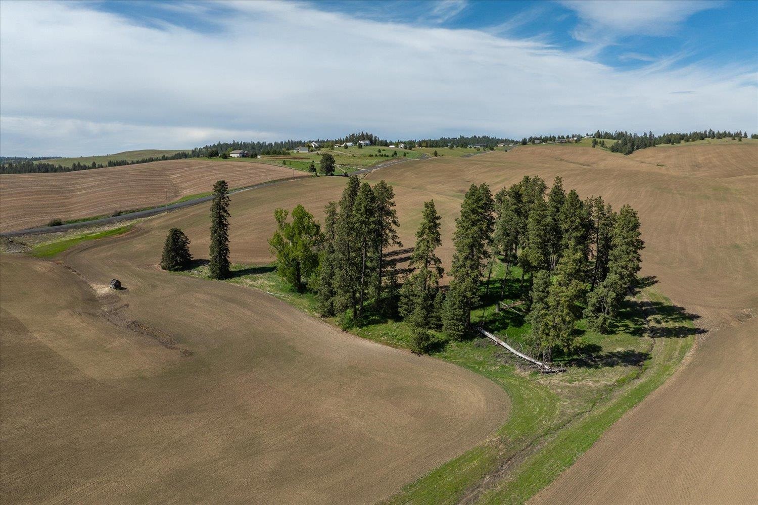00XXX Jackson Rd, Lot 28 - Photo 28
