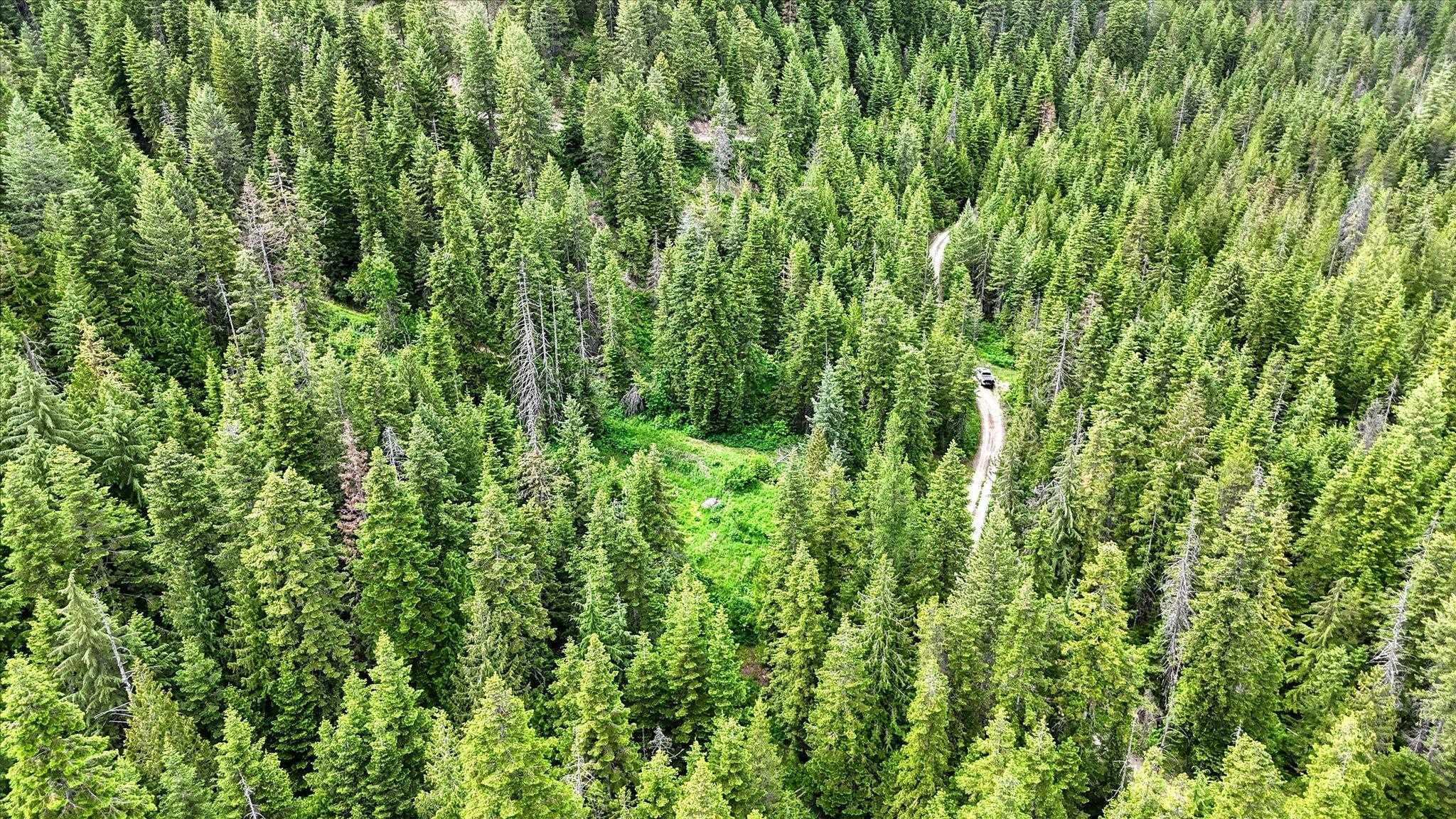 NKN Bead Lake - Lot 5 Rd - Photo 28
