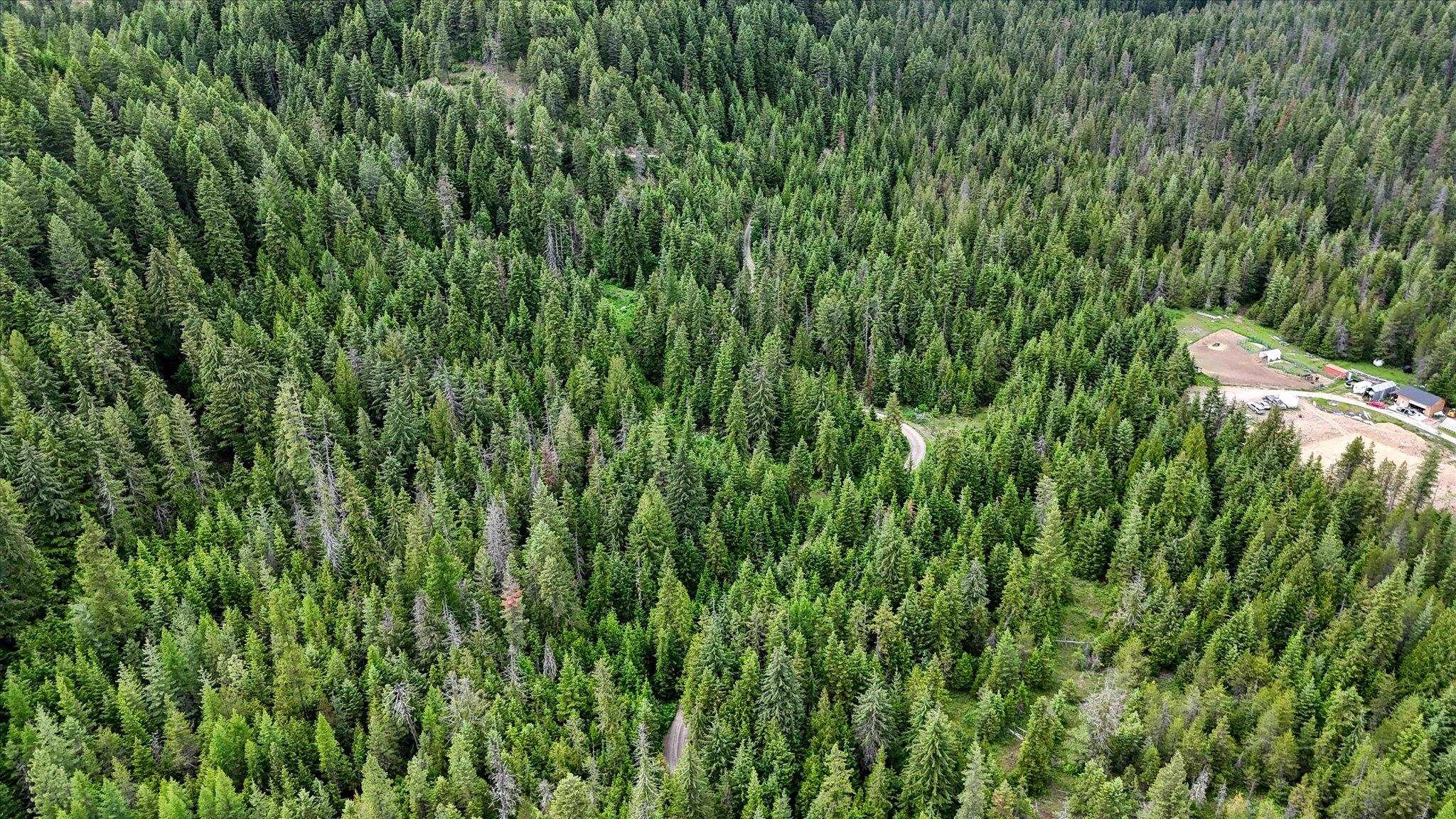 NKN Bead Lake - Lot 5 Rd - Photo 29