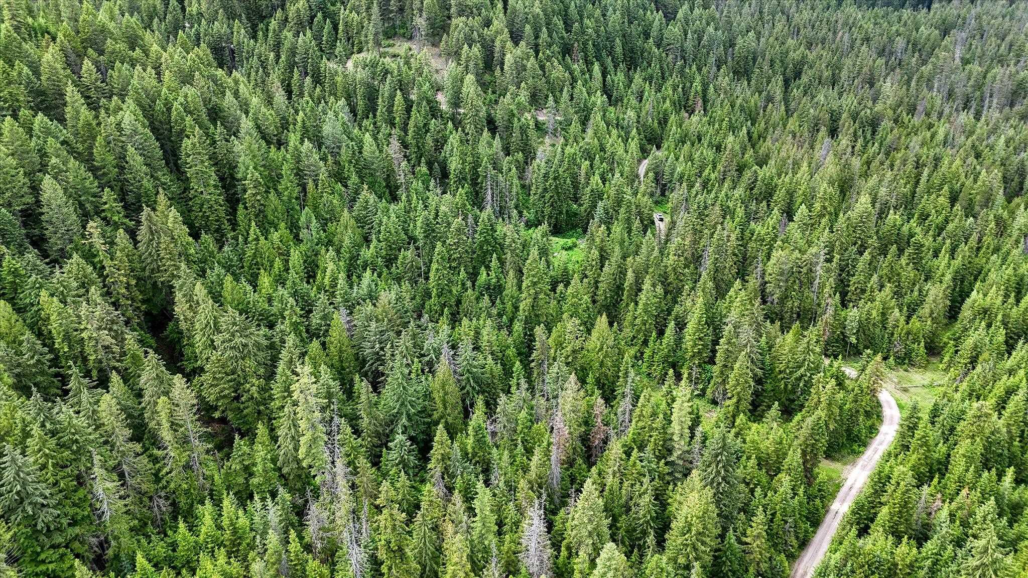 NKN Bead Lake - Lot 5 Rd - Photo 31