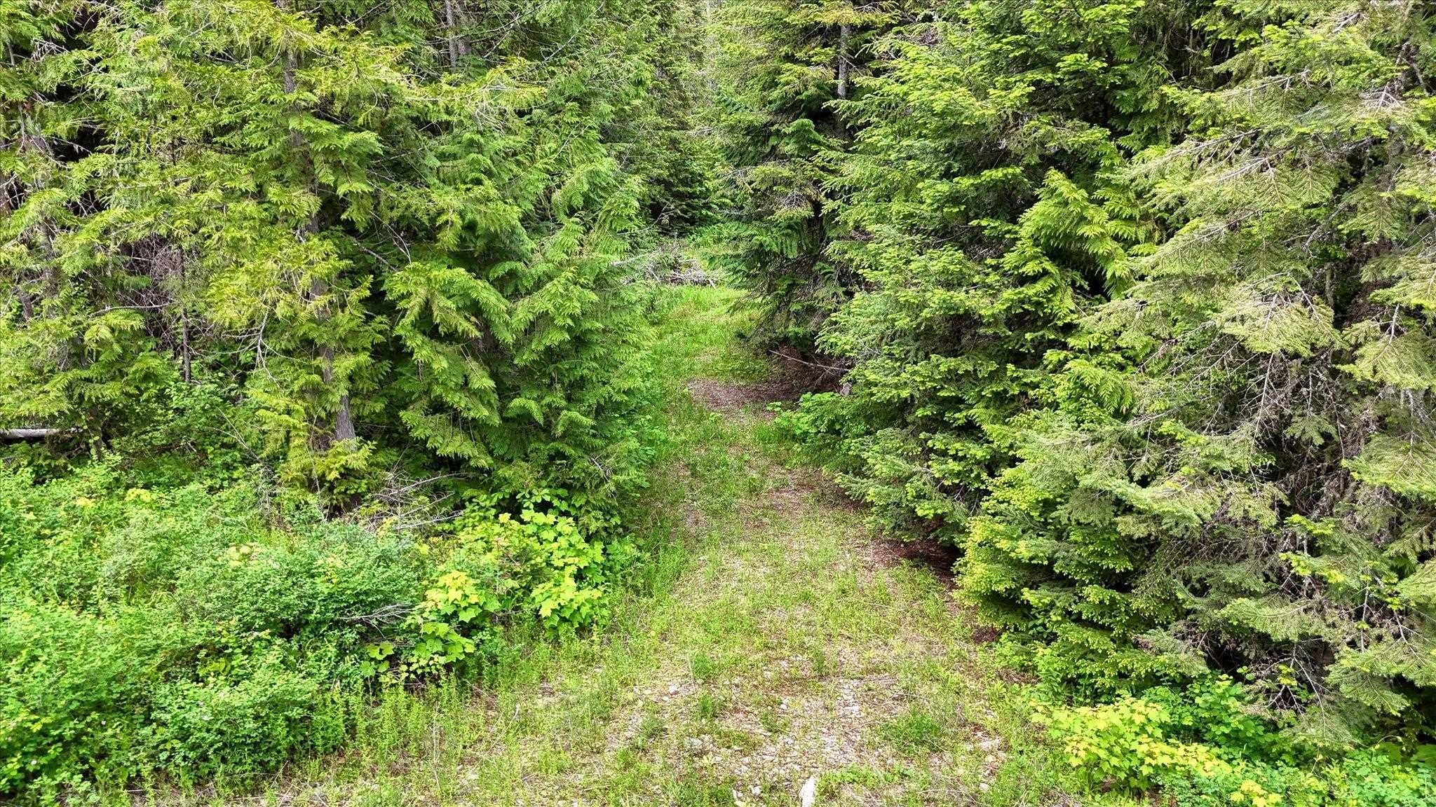 NKN Bead Lake - Lot 5 Rd - Photo 32