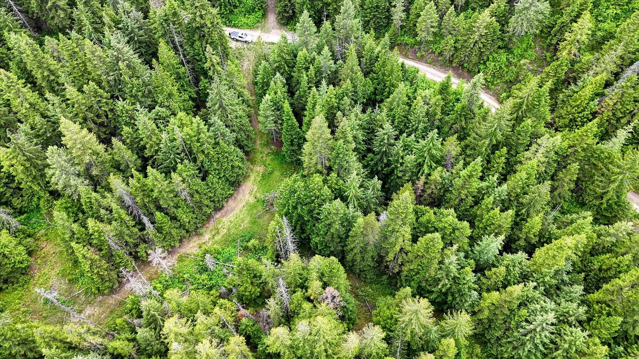 NKN Bead Lake - Lot 5 Rd - Photo 33