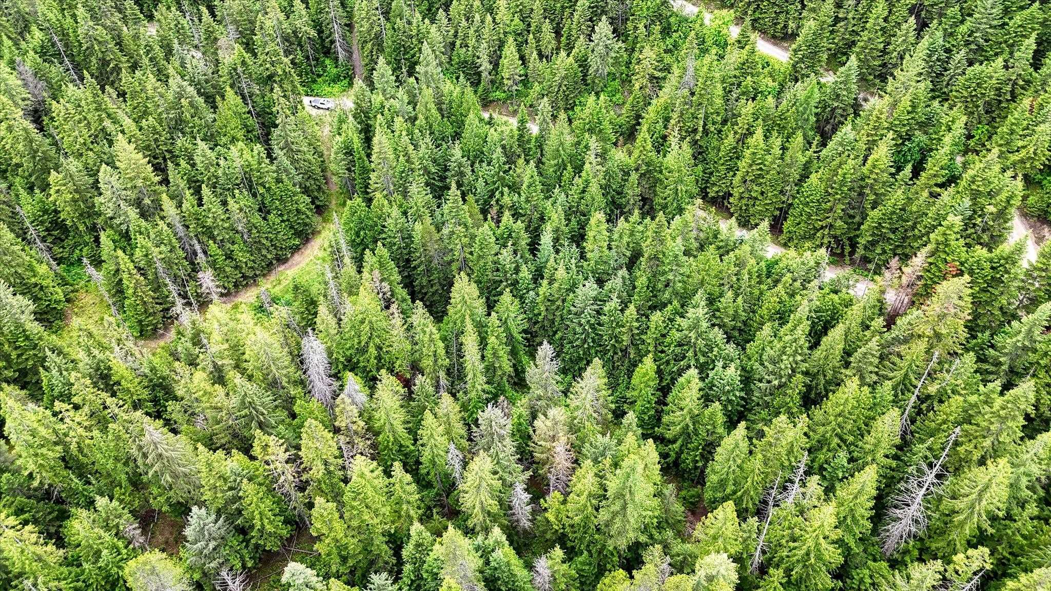 NKN Bead Lake - Lot 5 Rd - Photo 34