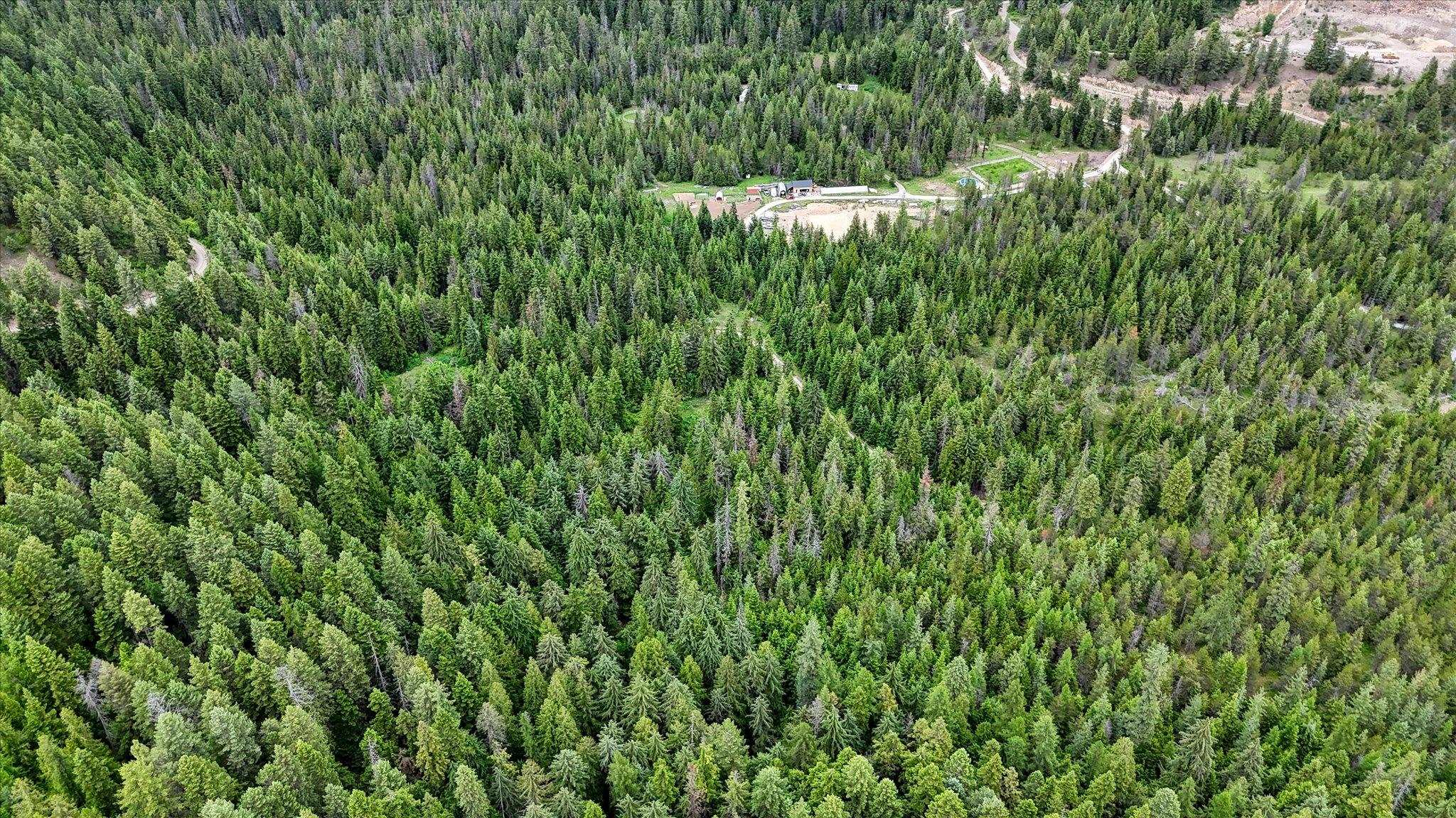 NKN Bead Lake - Lot 5 Rd - Photo 36
