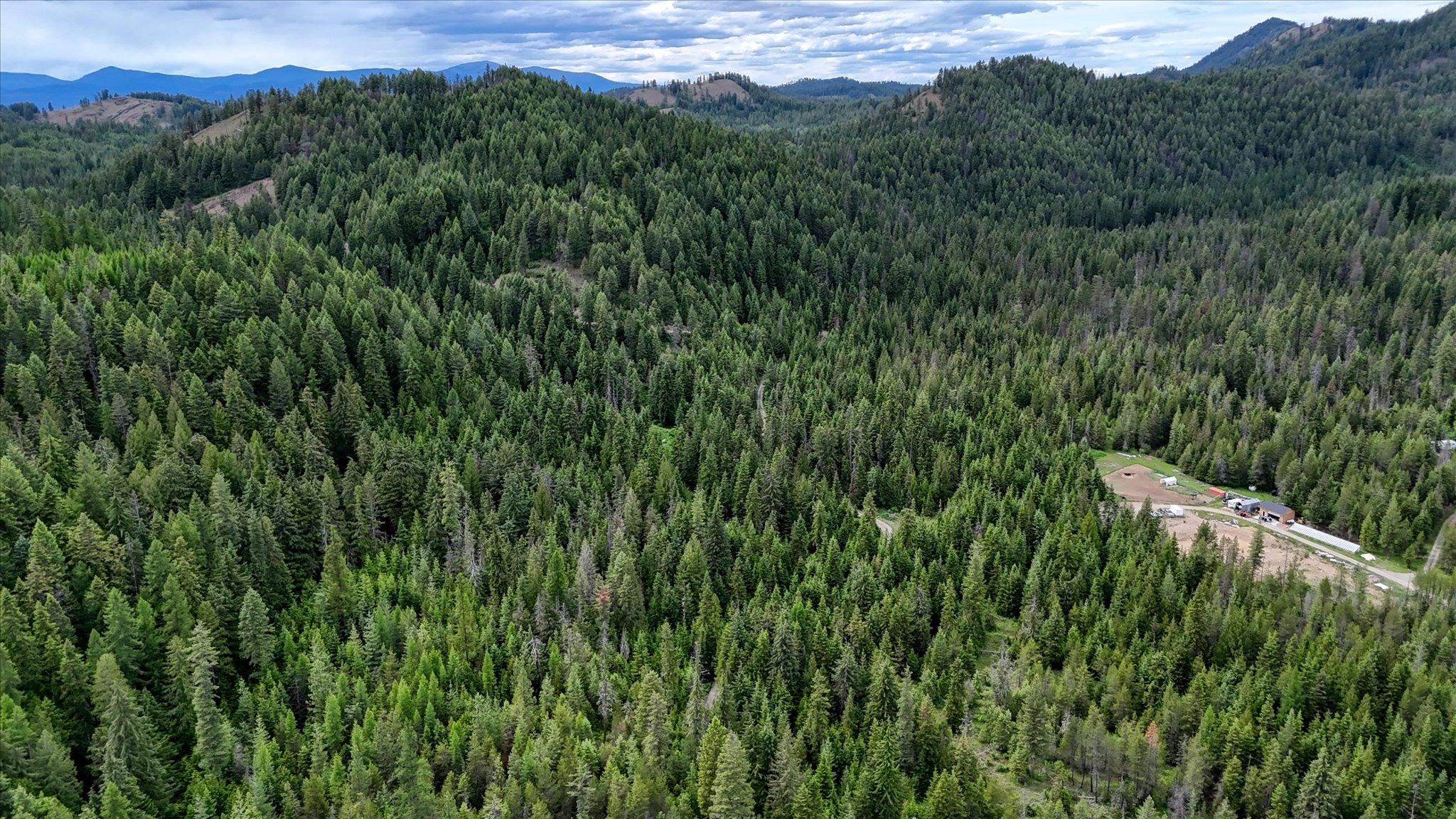 NKN Bead Lake - Lot 5 Rd - Photo 38